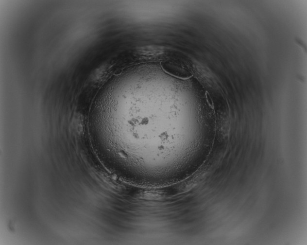 X0000093770758200710161241