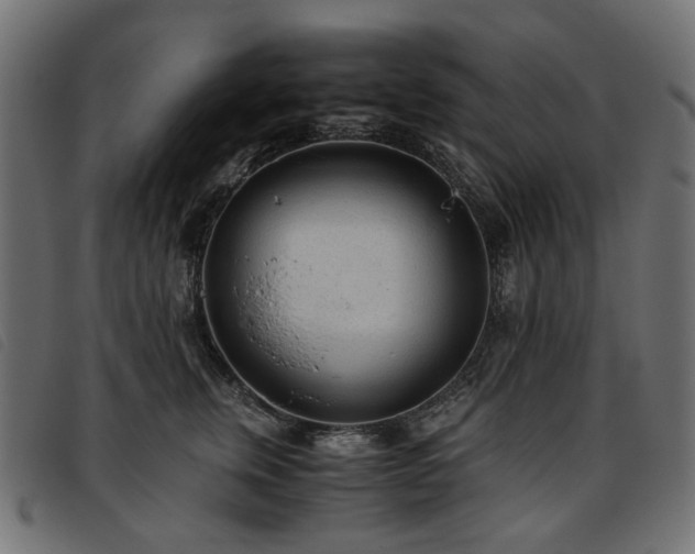 X0000093770759200710161241