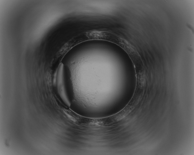 X0000093770760200710161241