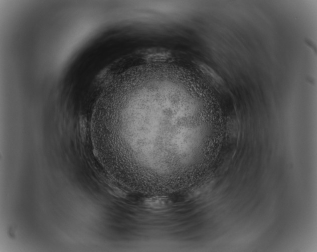 X0000093770761200710161241