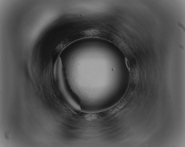 X0000093770762200710161241