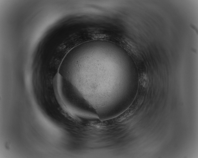 X0000093770763200710161241