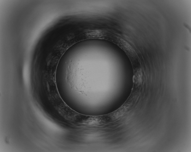 X0000093770764200710161241