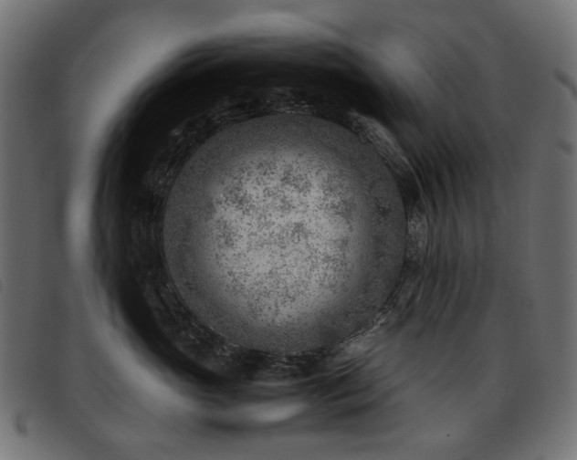 X0000093770765200710161241