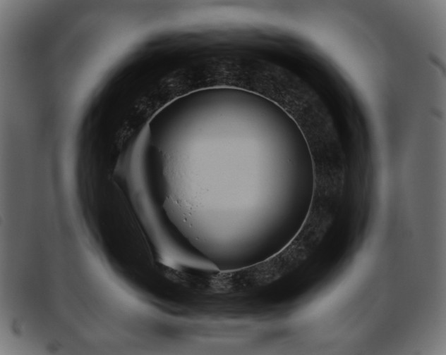 X0000093770766200710161241
