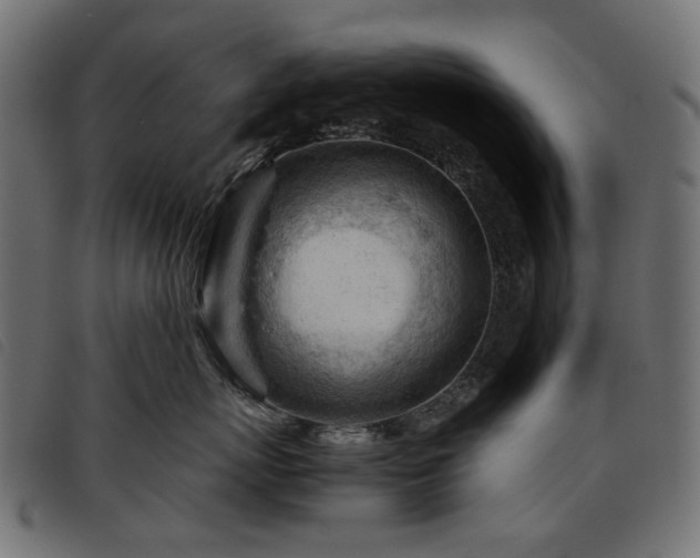 X0000093770767200710161242