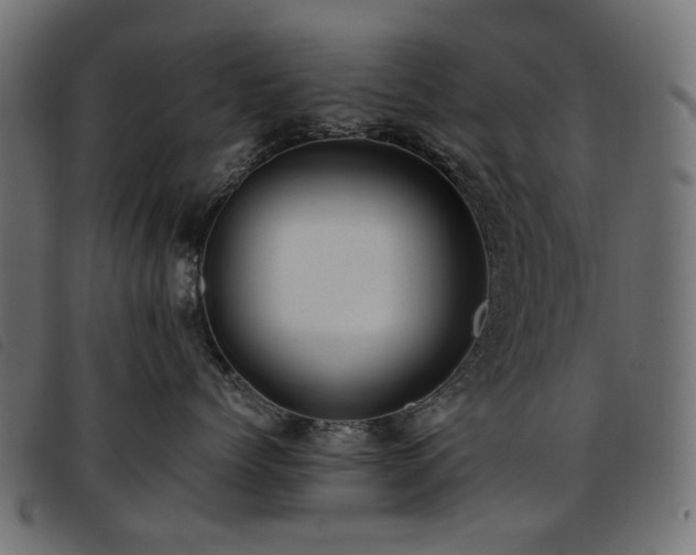 X0000093770768200710161242