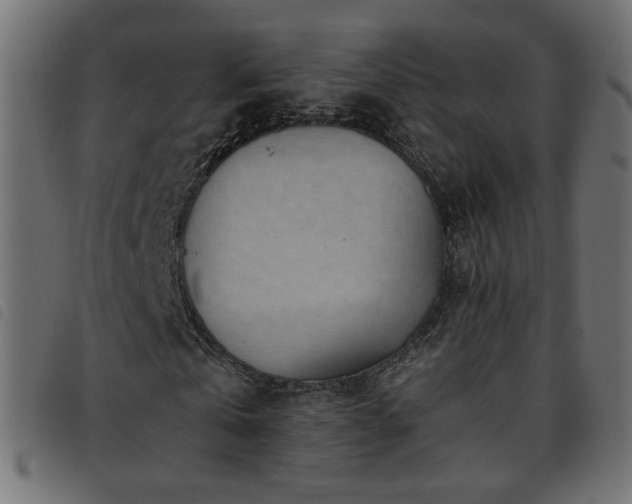 X0000093770769200710161241