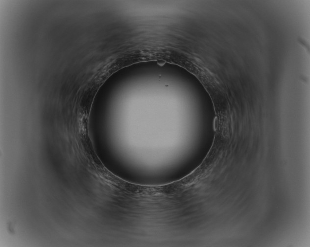 X0000093770770200710161241