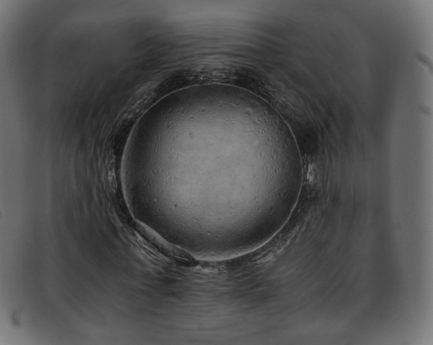 X0000093770771200710161241