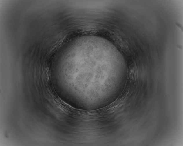X0000093770772200710161241
