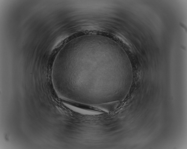 X0000093770775200710161241