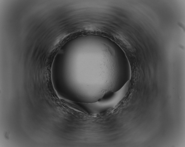 X0000093770776200710161241