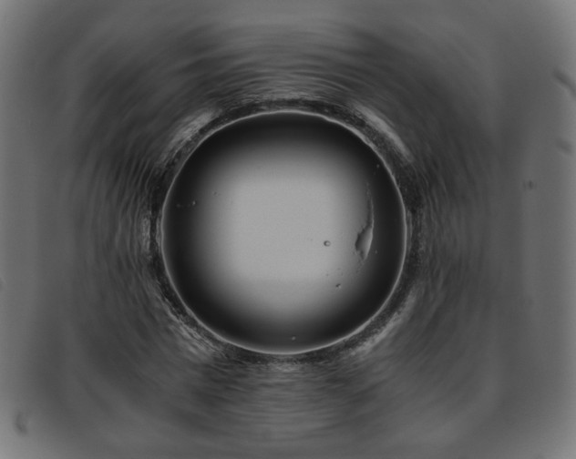 X0000093770777200710161241