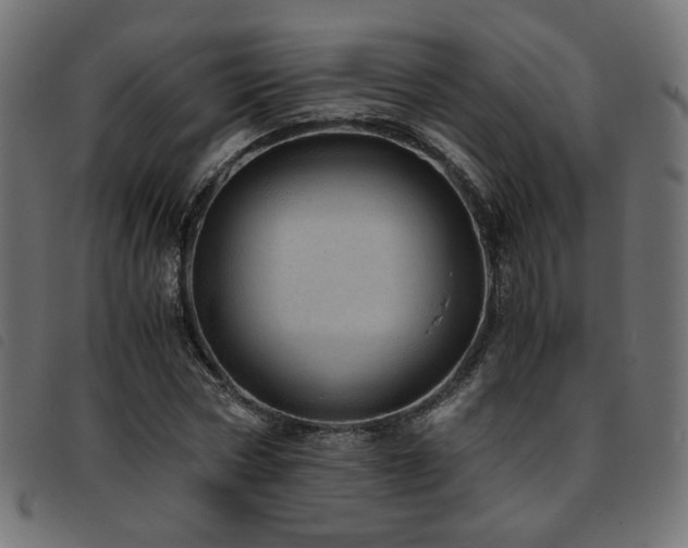X0000093770778200710161241
