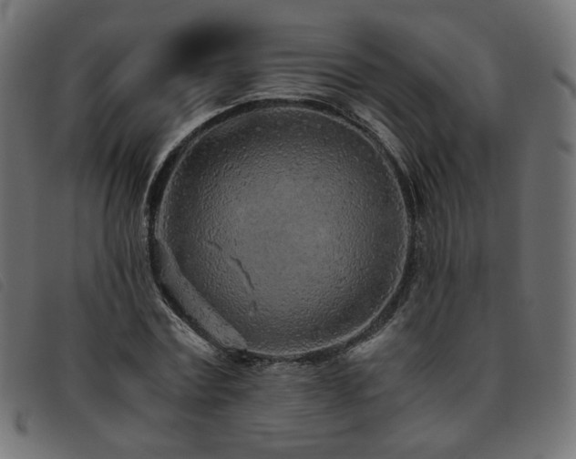 X0000093770779200710161241