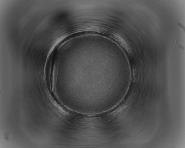 X0000093770780200710161241