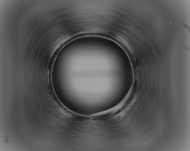 X0000093770781200710161241