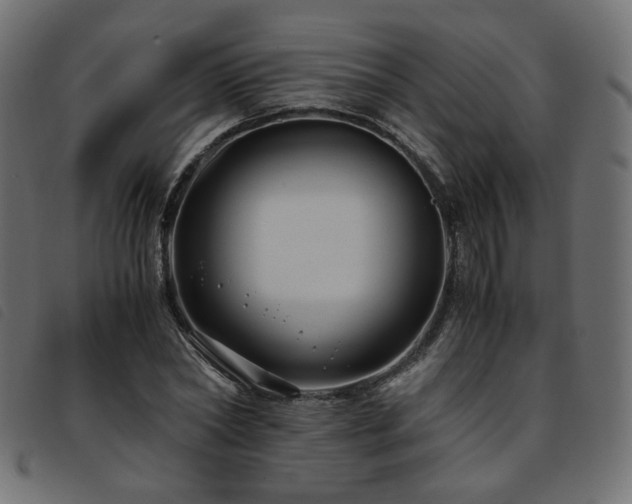 X0000093770782200710161241