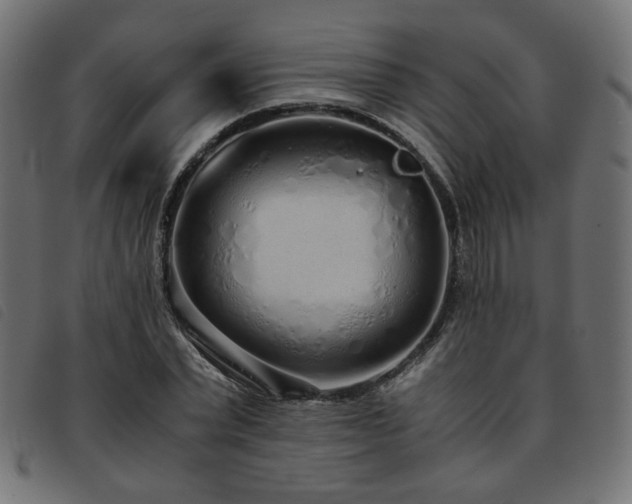 X0000093770783200710161241