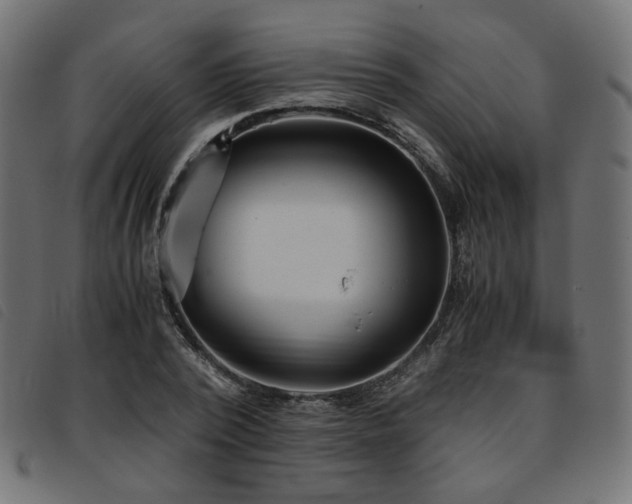 X0000093770784200710161241