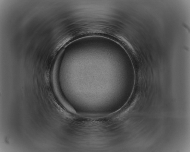 X0000093770785200710161241