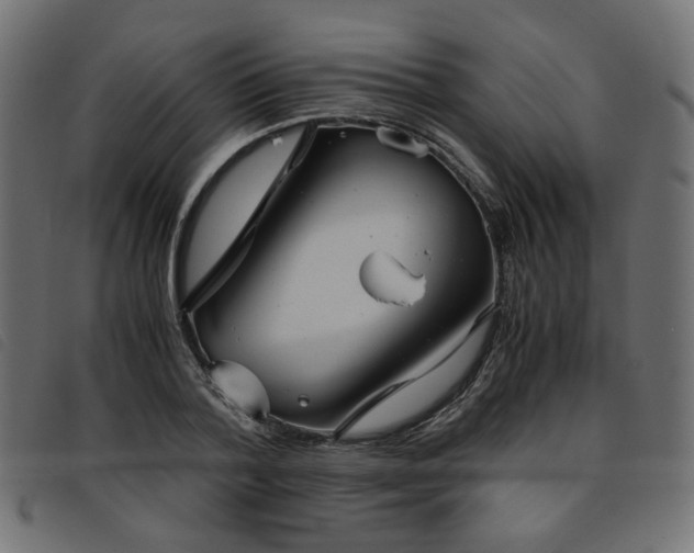 X0000093770788200710161241