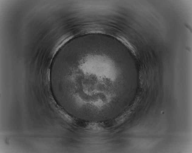 X0000093770790200710161241