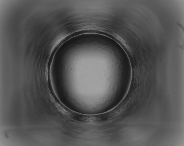X0000093770791200710161241