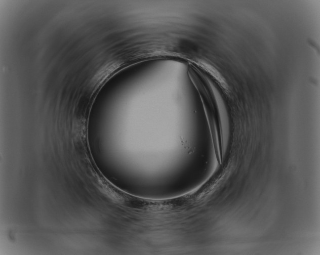 X0000093770793200710161241