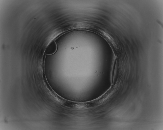 X0000093770794200710161241