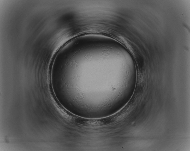 X0000093770795200710161241