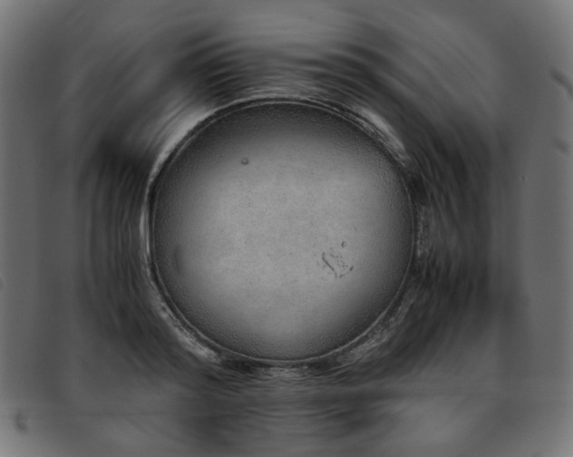 X0000093770796200710161241