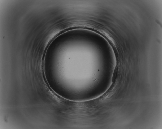 X0000093770799200710161241