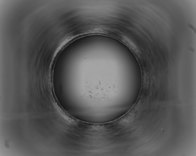 X0000093770800200710161241
