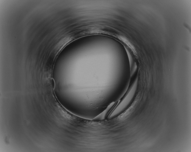 X0000093770801200710161241
