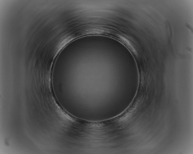 X0000093770802200710161241