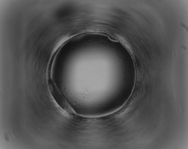 X0000093770803200710161241