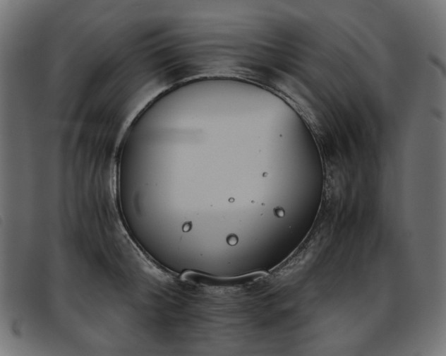 X0000093770804200710161241