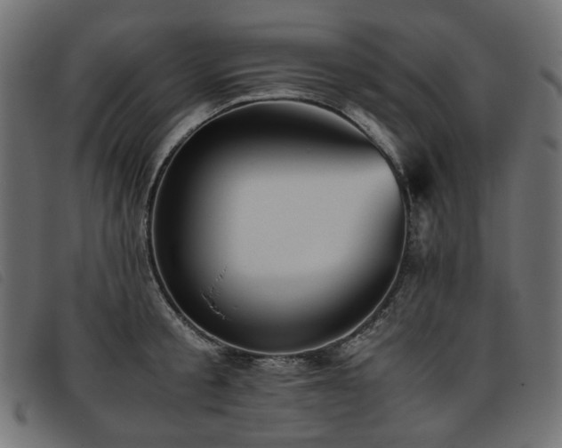 X0000093770805200710161241