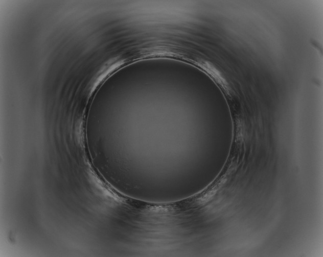 X0000093770806200710161241