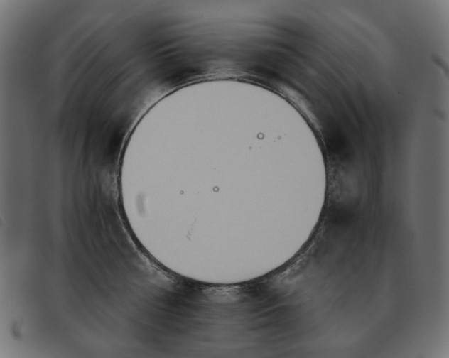 X0000093770810200710161240