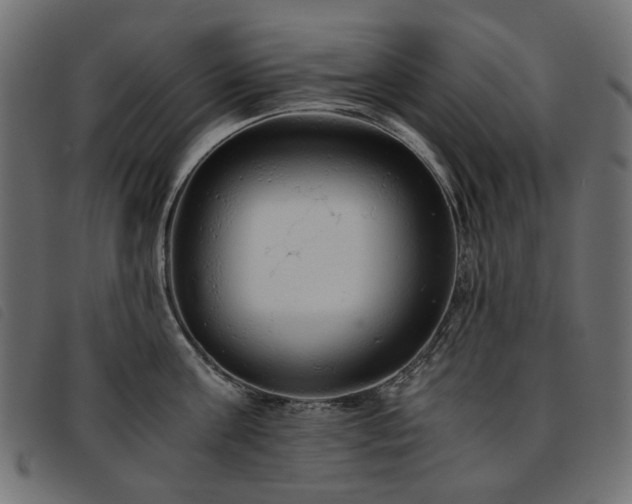 X0000093770811200710161240