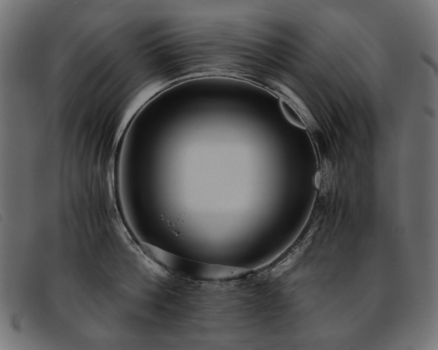 X0000093770812200710161240