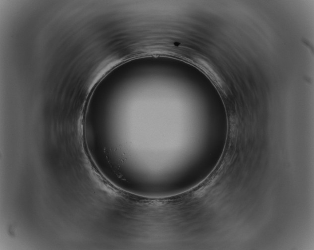 X0000093770814200710161240