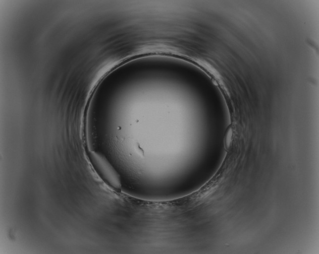 X0000093770815200710161240