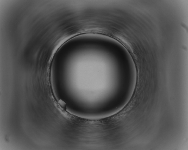 X0000093770816200710161240