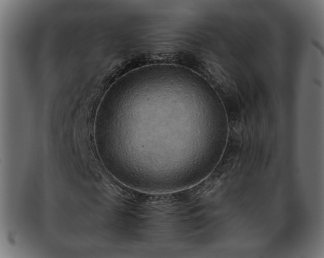 X0000093770817200710161240
