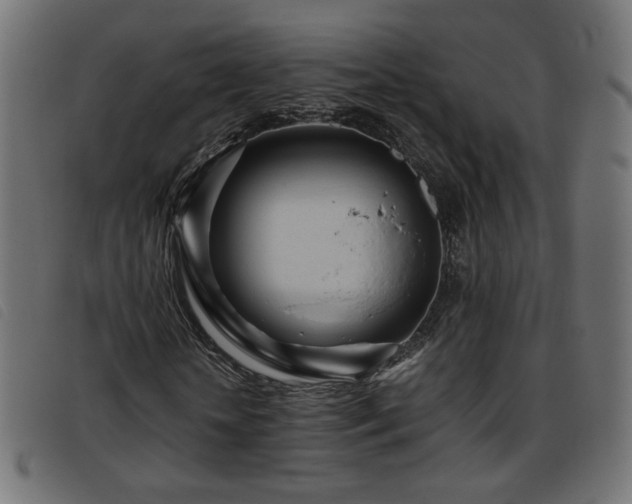 X0000093770818200710161240
