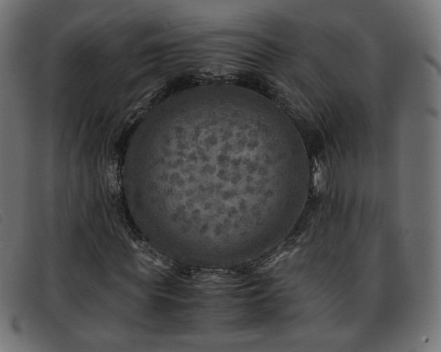 X0000093770819200710161240